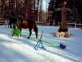 image00040