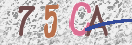 CAPTCHA изображение